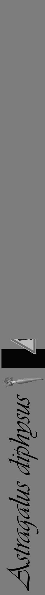 Étiquette de : Astragalus diphysus - format a - style noire35viv avec comestibilité simplifiée - position verticale