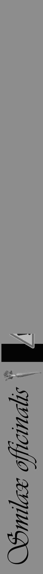 Étiquette de : Smilax officinalis - format a - style noire25viv avec comestibilité simplifiée - position verticale