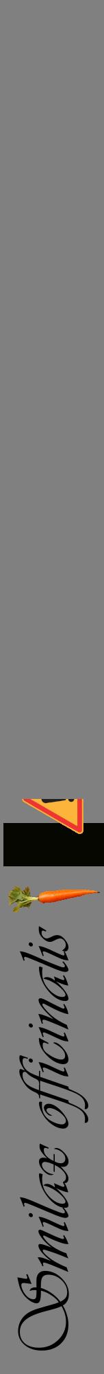 Étiquette de : Smilax officinalis - format a - style noire57viv avec comestibilité simplifiée