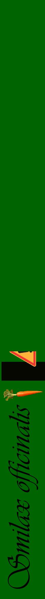 Étiquette de : Smilax officinalis - format a - style noire8viv avec comestibilité simplifiée