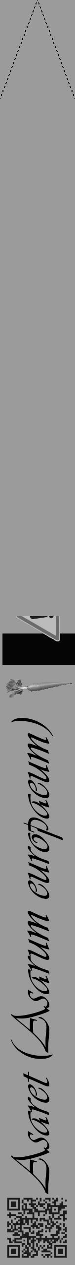 Étiquette de : Asarum europaeum - format b - style noire52viv avec qrcode et comestibilité simplifiée - position verticale