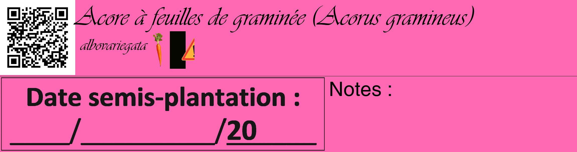 Étiquette de : Acorus gramineus albovariegata - format c - style noire42_basique_basiqueviv avec qrcode et comestibilité simplifiée
