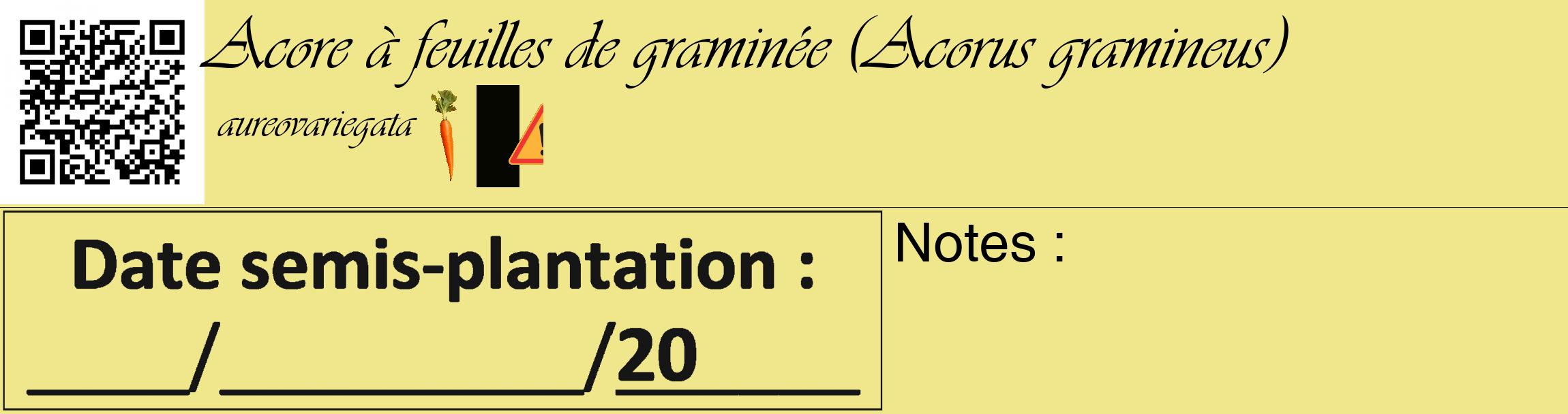 Étiquette de : Acorus gramineus aureovariegata - format c - style noire20_basique_basiqueviv avec qrcode et comestibilité simplifiée