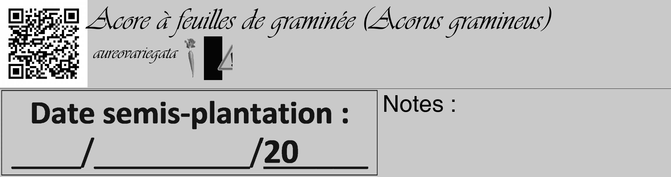 Étiquette de : Acorus gramineus aureovariegata - format c - style noire54_basique_basiqueviv avec qrcode et comestibilité simplifiée