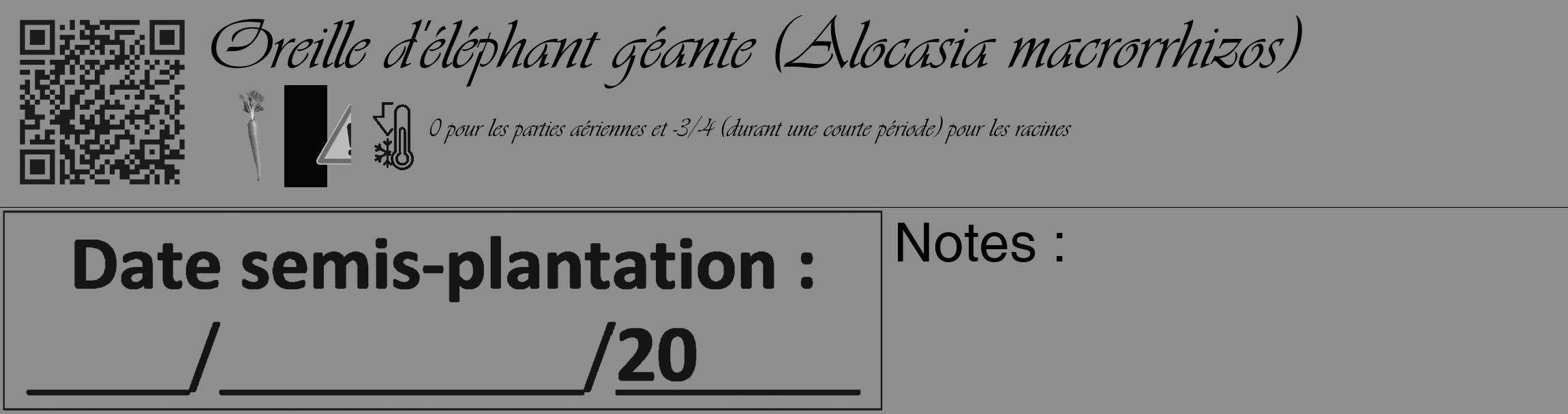 Étiquette de : Alocasia macrorrhizos - format c - style noire25basique_basique_basiqueviv avec qrcode et comestibilité simplifiée