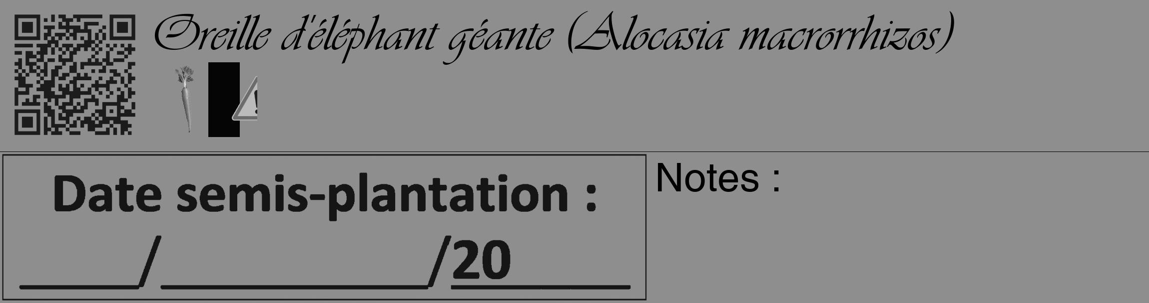 Étiquette de : Alocasia macrorrhizos - format c - style noire25basique_basique_basiqueviv avec qrcode et comestibilité simplifiée