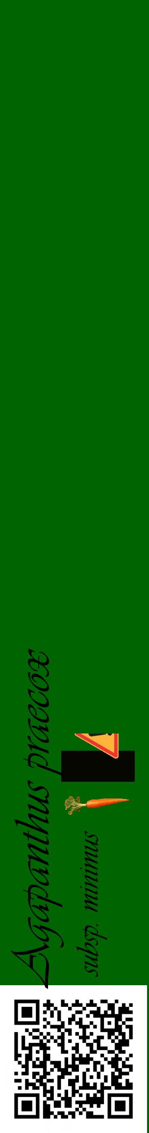 Étiquette de : Agapanthus praecox subsp. minimus - format c - style noire8_basiqueviv avec qrcode et comestibilité simplifiée