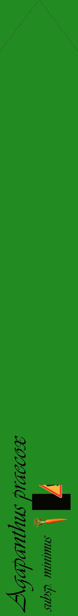 Étiquette de : Agapanthus praecox subsp. minimus - format c - style noire10_simpleviv avec comestibilité simplifiée