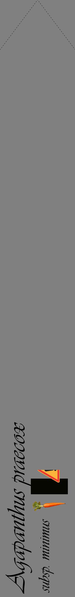 Étiquette de : Agapanthus praecox subsp. minimus - format c - style noire57_simpleviv avec comestibilité simplifiée