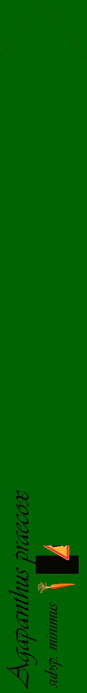 Étiquette de : Agapanthus praecox subsp. minimus - format c - style noire8_simpleviv avec comestibilité simplifiée