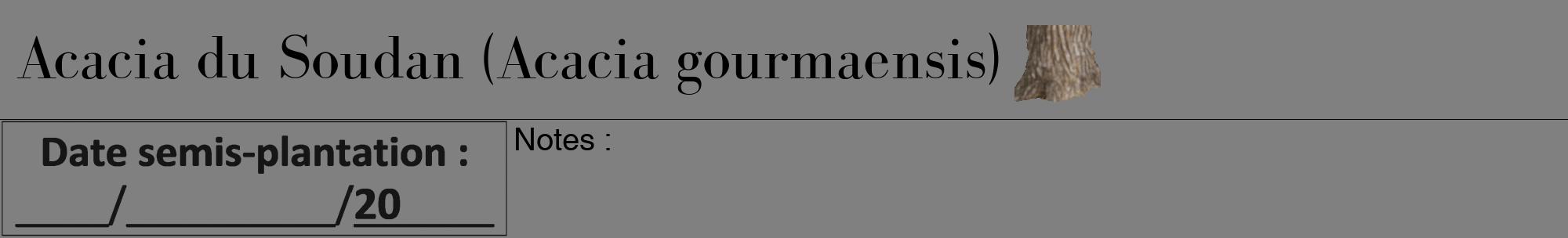 Étiquette de : Acacia gourmaensis - format a - style noire57bod avec comestibilité simplifiée