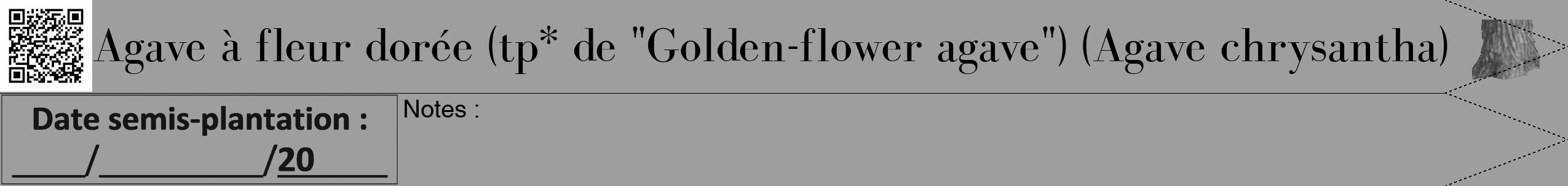 Étiquette de : Agave chrysantha - format b - style noire23bod avec qrcode et comestibilité simplifiée