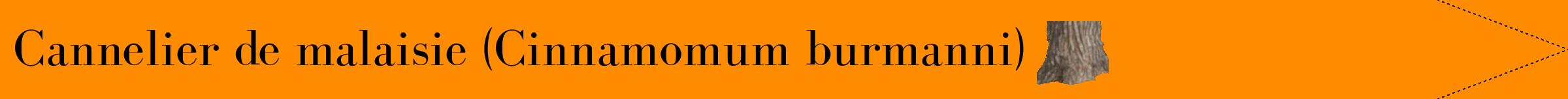 Étiquette de : Cinnamomum burmanni - format b - style noire23simplebod avec comestibilité simplifiée