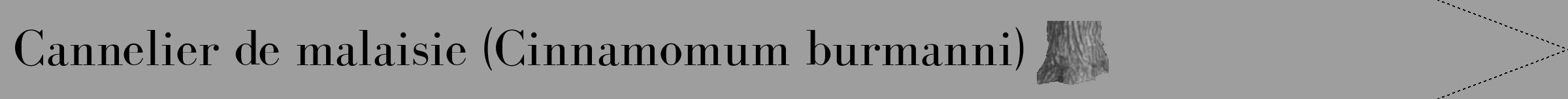 Étiquette de : Cinnamomum burmanni - format b - style noire23simplebod avec comestibilité simplifiée