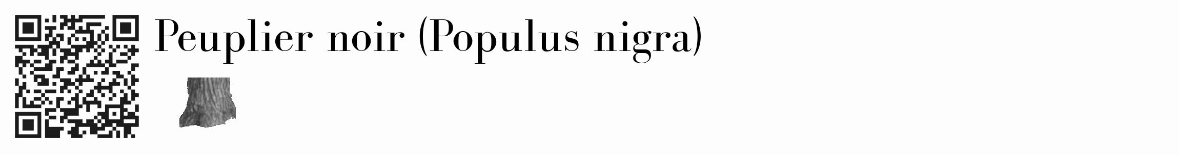 Étiquette de : Populus nigra - format c - style noire19_basique_basiquebod avec qrcode et comestibilité simplifiée