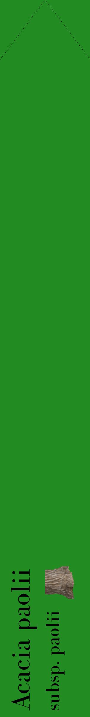 Étiquette de : Acacia paolii subsp. paolii - format c - style noire10_simplebod avec comestibilité simplifiée