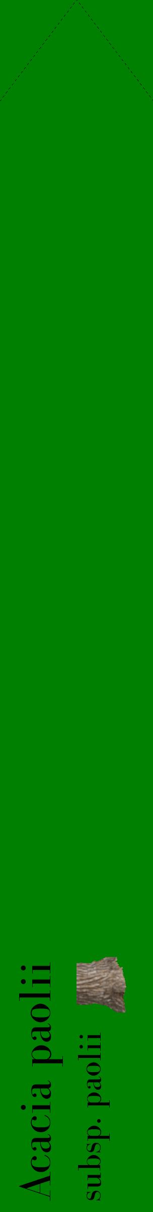 Étiquette de : Acacia paolii subsp. paolii - format c - style noire9_simplebod avec comestibilité simplifiée
