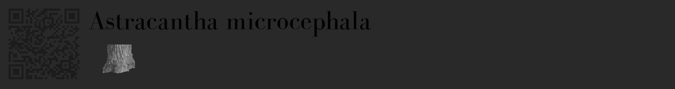 Étiquette de : Astracantha microcephala - format c - style noire34_basique_basiquebod avec qrcode et comestibilité simplifiée