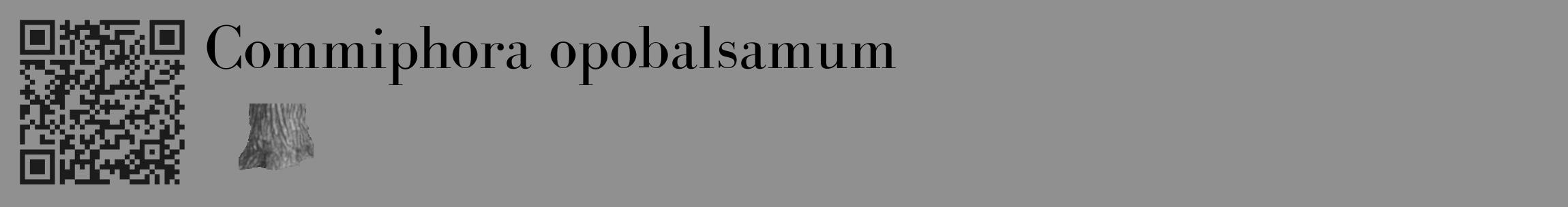 Étiquette de : Commiphora opobalsamum - format c - style noire4_basique_basiquebod avec qrcode et comestibilité simplifiée