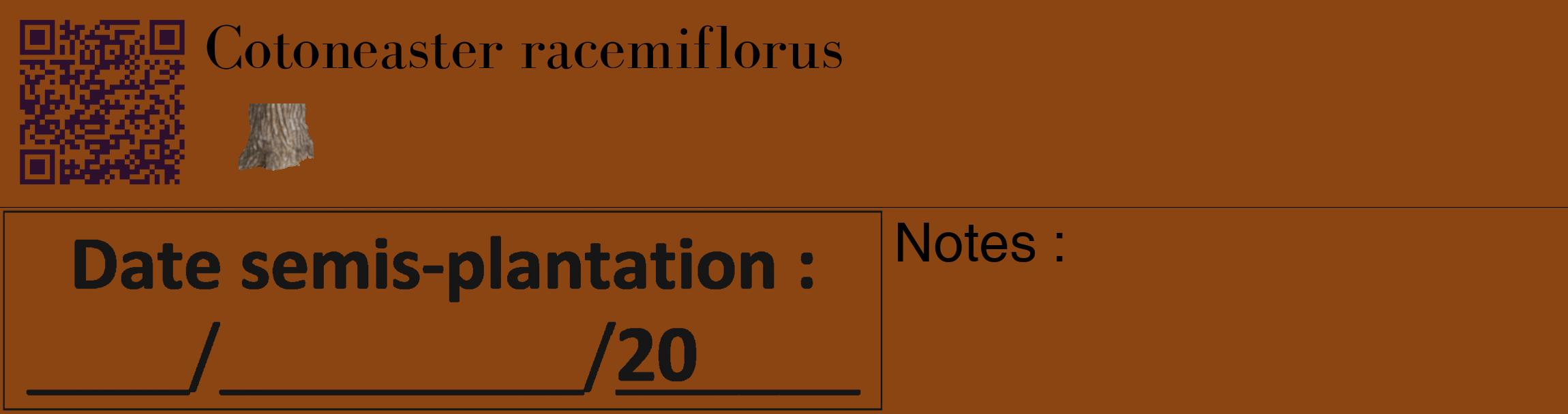 Étiquette de : Cotoneaster racemiflorus - format c - style noire30_basique_basiquebod avec qrcode et comestibilité simplifiée