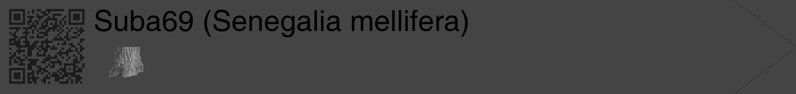 Étiquette de : Senegalia mellifera - format c - style noire48_simple_simplehel avec qrcode et comestibilité simplifiée