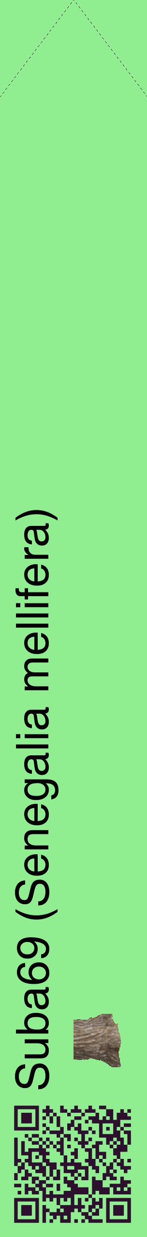 Étiquette de : Senegalia mellifera - format c - style noire15_simplehel avec qrcode et comestibilité simplifiée