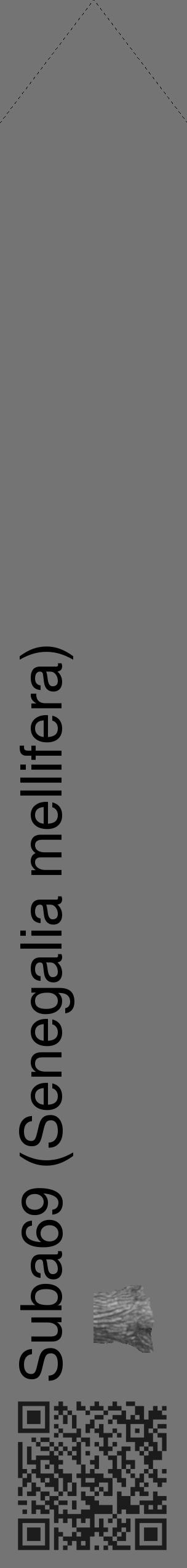 Étiquette de : Senegalia mellifera - format c - style noire26_simple_simplehel avec qrcode et comestibilité simplifiée - position verticale