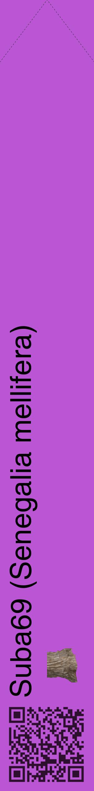 Étiquette de : Senegalia mellifera - format c - style noire50_simple_simplehel avec qrcode et comestibilité simplifiée - position verticale
