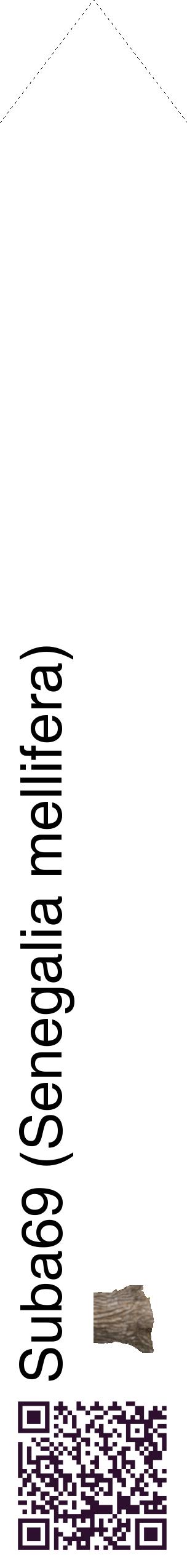 Étiquette de : Senegalia mellifera - format c - style noire60_simplehel avec qrcode et comestibilité simplifiée