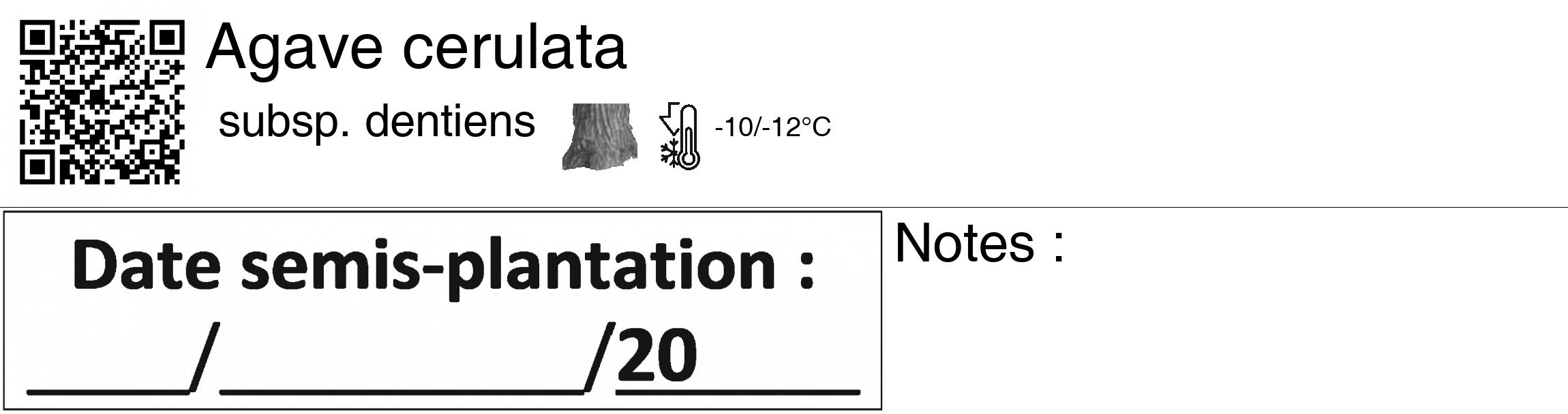 Étiquette de : Agave cerulata subsp. dentiens - format c - style noire60_basiquegrrvhel avec qrcode et comestibilité simplifiée