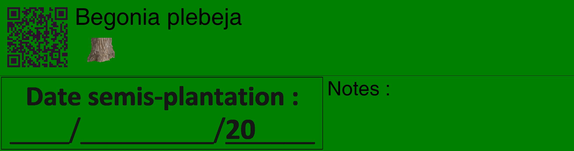 Étiquette de : Begonia plebeja - format c - style noire9_basique_basiquehel avec qrcode et comestibilité simplifiée