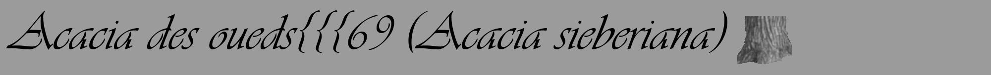 Étiquette de : Acacia sieberiana - format a - style noire52viv avec comestibilité simplifiée
