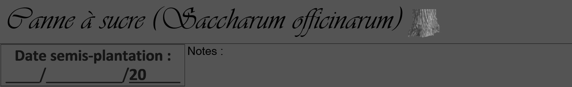 Étiquette de : Saccharum officinarum - format a - style noire30viv avec comestibilité simplifiée