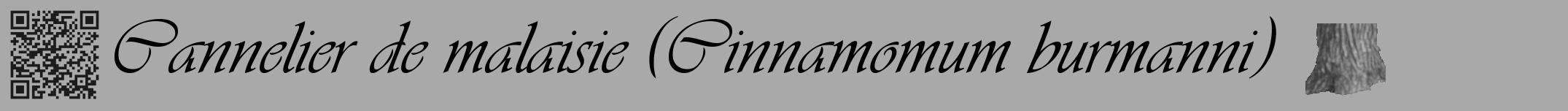 Étiquette de : Cinnamomum burmanni - format a - style noire13viv avec qrcode et comestibilité simplifiée