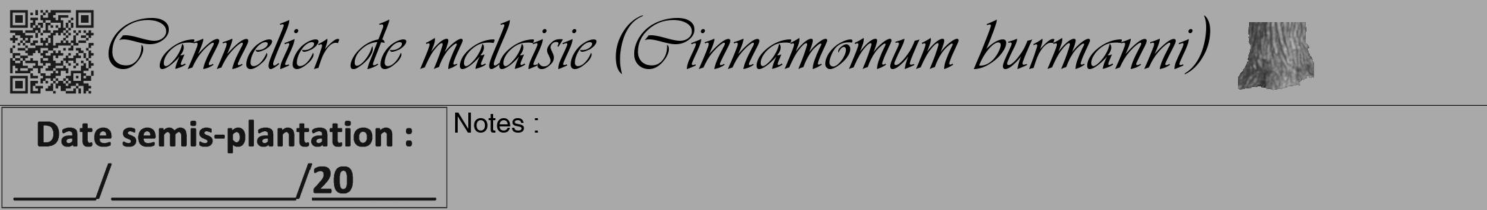 Étiquette de : Cinnamomum burmanni - format a - style noire13viv avec qrcode et comestibilité simplifiée