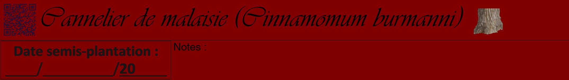 Étiquette de : Cinnamomum burmanni - format a - style noire29viv avec qrcode et comestibilité simplifiée