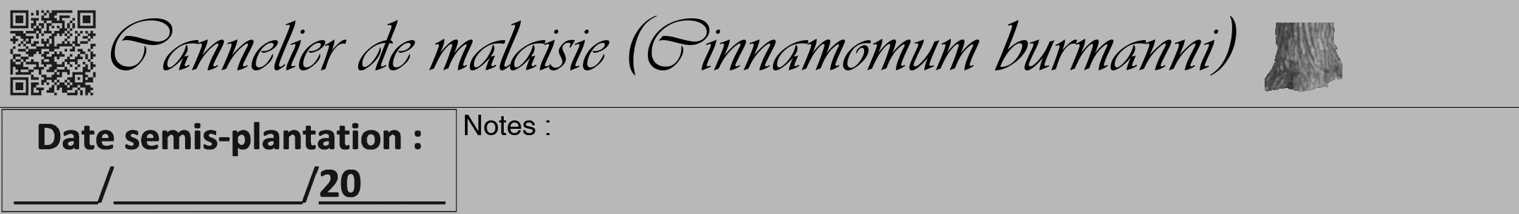 Étiquette de : Cinnamomum burmanni - format a - style noire39simpleviv avec qrcode et comestibilité simplifiée