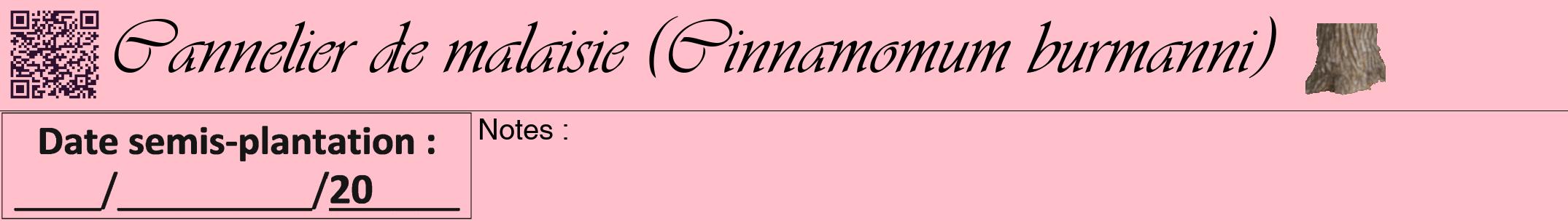 Étiquette de : Cinnamomum burmanni - format a - style noire40viv avec qrcode et comestibilité simplifiée