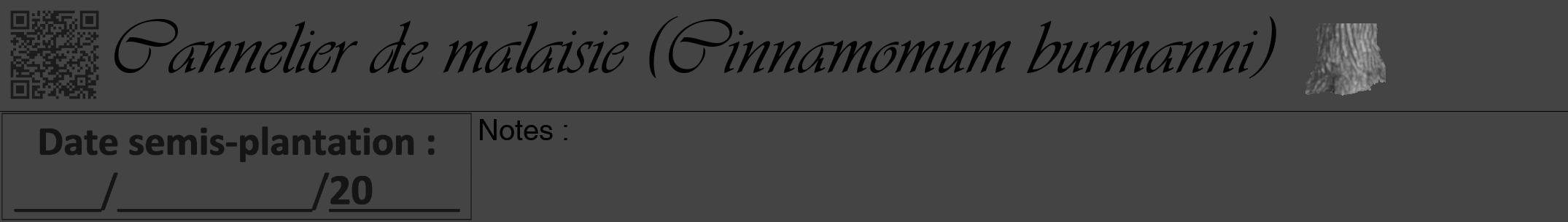 Étiquette de : Cinnamomum burmanni - format a - style noire48viv avec qrcode et comestibilité simplifiée