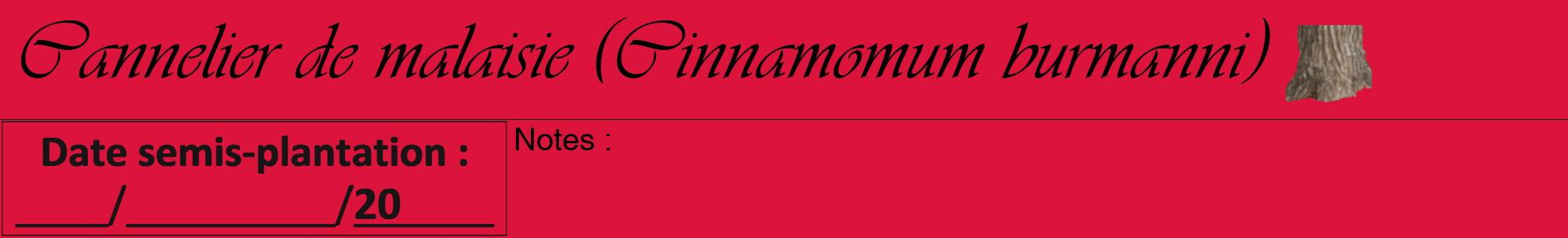 Étiquette de : Cinnamomum burmanni - format a - style noire36viv avec comestibilité simplifiée