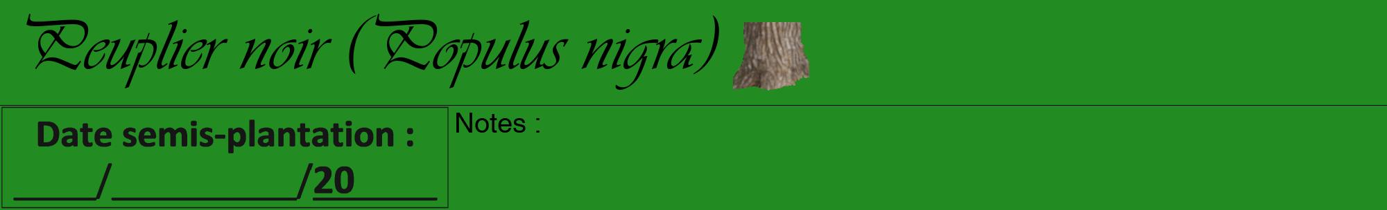 Étiquette de : Populus nigra - format a - style noire10viv avec comestibilité simplifiée