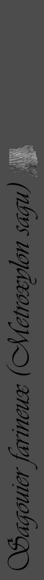 Étiquette de : Metroxylon sagu - format a - style noire9viv avec comestibilité simplifiée - position verticale