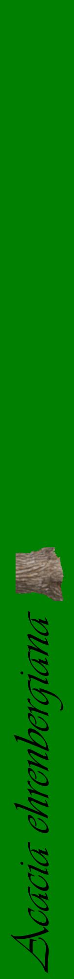 Étiquette de : Acacia ehrenbergiana - format a - style noire9viv avec comestibilité simplifiée