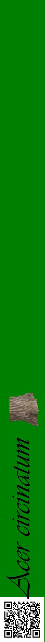 Étiquette de : Acer circinatum - format a - style noire9viv avec qrcode et comestibilité simplifiée