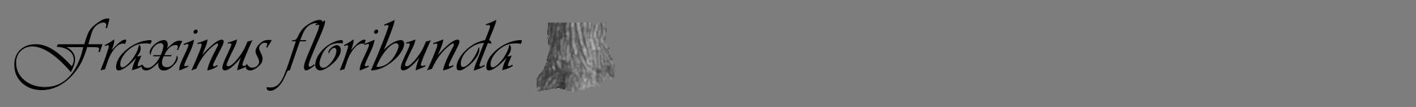 Étiquette de : Fraxinus floribunda - format a - style noire35viv avec comestibilité simplifiée