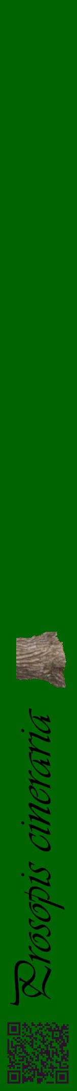 Étiquette de : Prosopis cineraria - format a - style noire8viv avec qrcode et comestibilité simplifiée