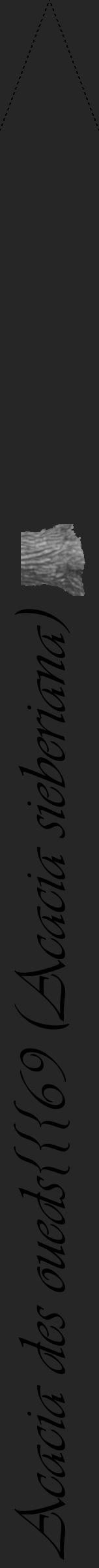 Étiquette de : Acacia sieberiana - format b - style noire29viv avec comestibilité simplifiée - position verticale