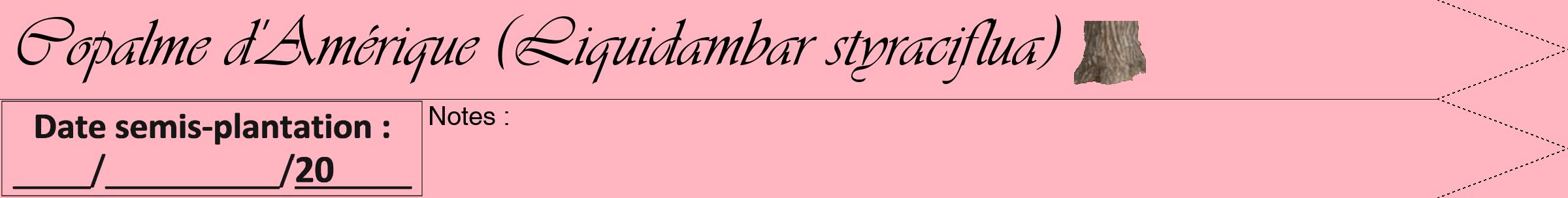 Étiquette de : Liquidambar styraciflua - format b - style noire41viv avec comestibilité simplifiée