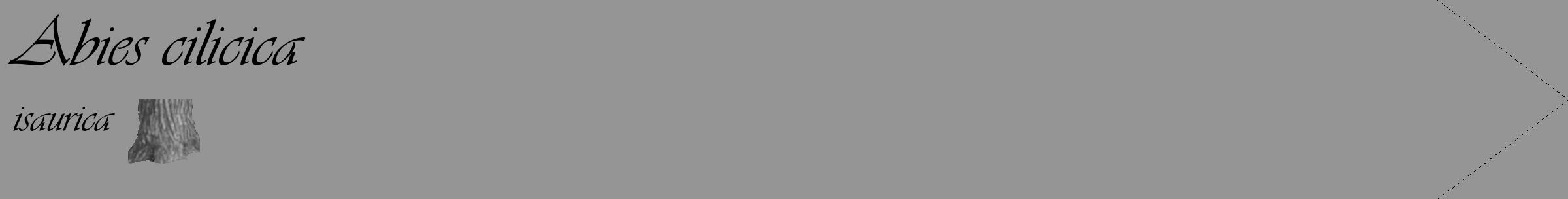 Étiquette de : Abies cilicica isaurica - format c - style noire16_simple_simpleviv avec comestibilité simplifiée