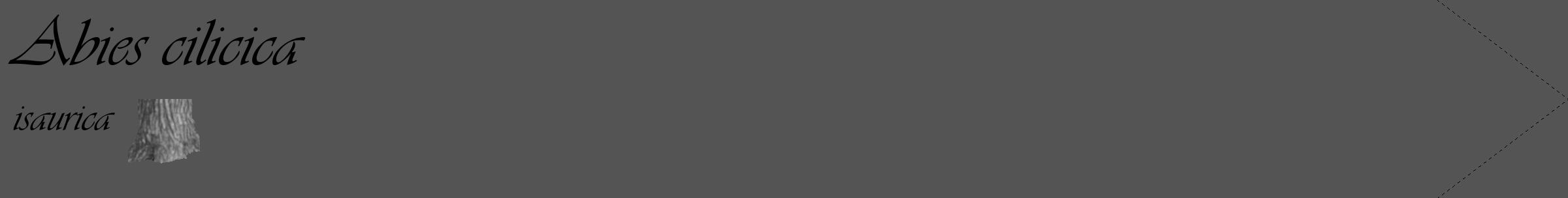 Étiquette de : Abies cilicica isaurica - format c - style noire30_simple_simpleviv avec comestibilité simplifiée